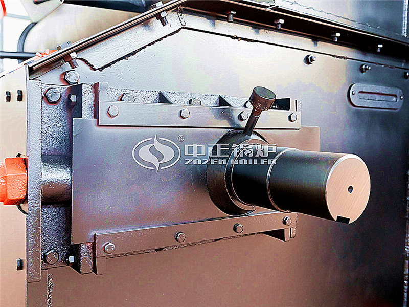 燃生物質導熱油鍋爐大廠 環(huán)保嗎