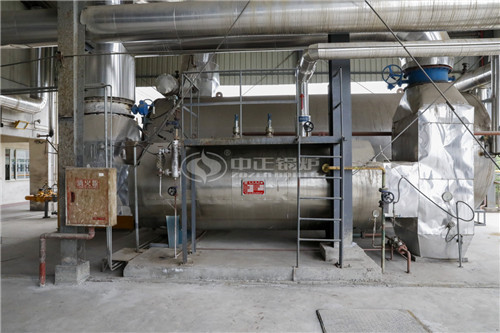 15T燃生物質(zhì)導熱油鍋爐性價比怎么樣